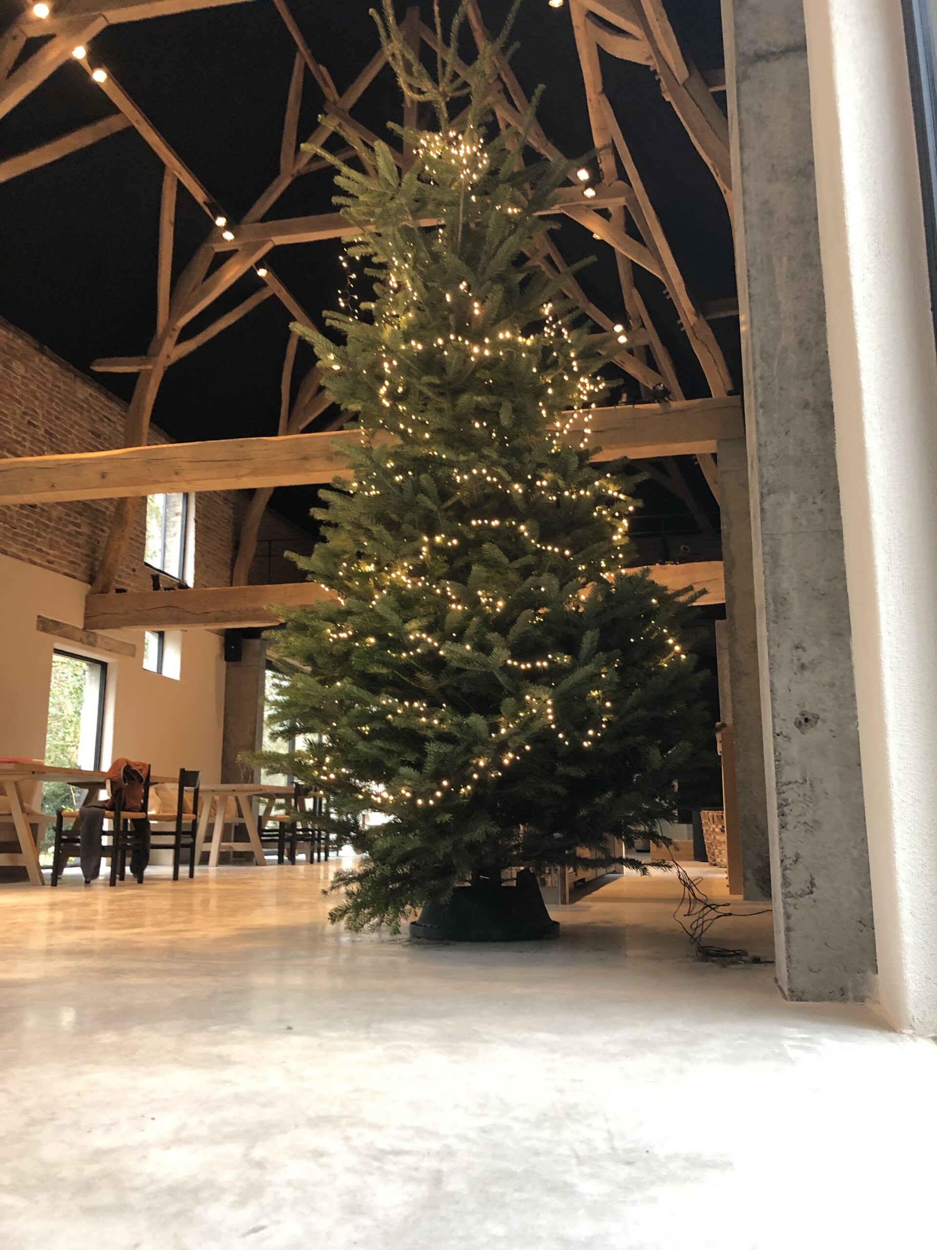 Zakelijke klanten Mijn Kerstboom, gratis aan huis geleverd